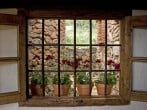 Window boxes Window boxes